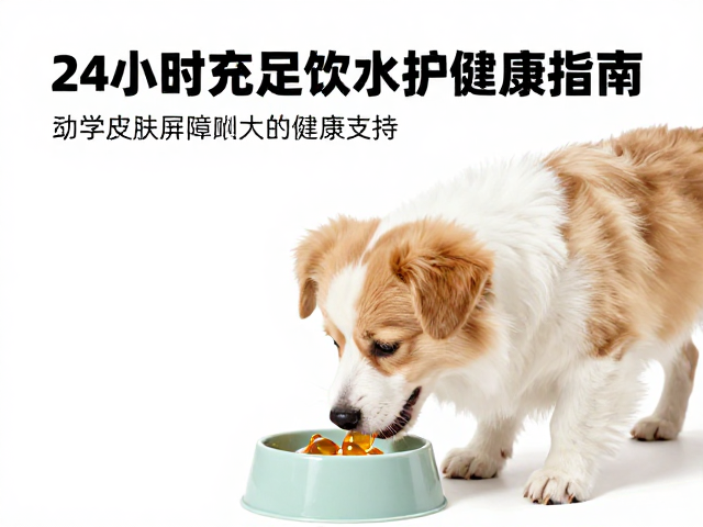 幼犬喂食加鱼油美肤,24小时充足饮水护健康指南