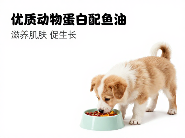 幼犬喂食指南,优质动物蛋白搭配鱼油,滋养肌肤促生长