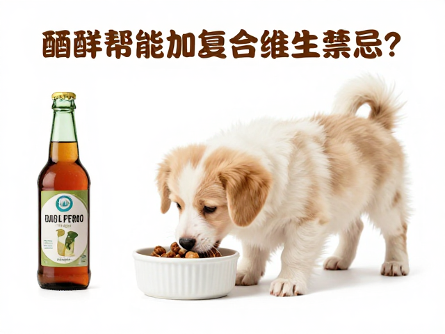 幼犬喂食能加复合维生素吗?酒精对狗狗的危害与禁忌
