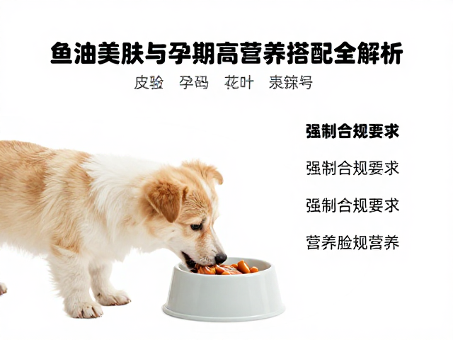 幼犬喂食指南,鱼油美肤与孕期高营养搭配全解析