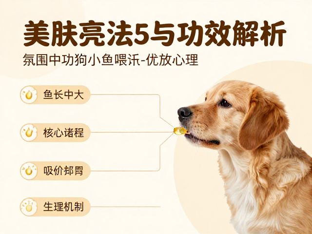 幼犬喂食鱼油,美肤亮眼的正确喂法与功效解析