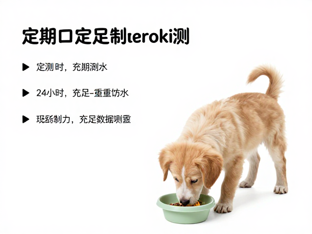 幼犬喂食与定期称重监测指南,24小时充足饮水的重要性