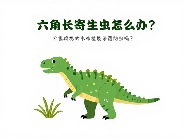 六角恐龙长寄生虫怎么办?水生植物能杀菌防虫吗?
