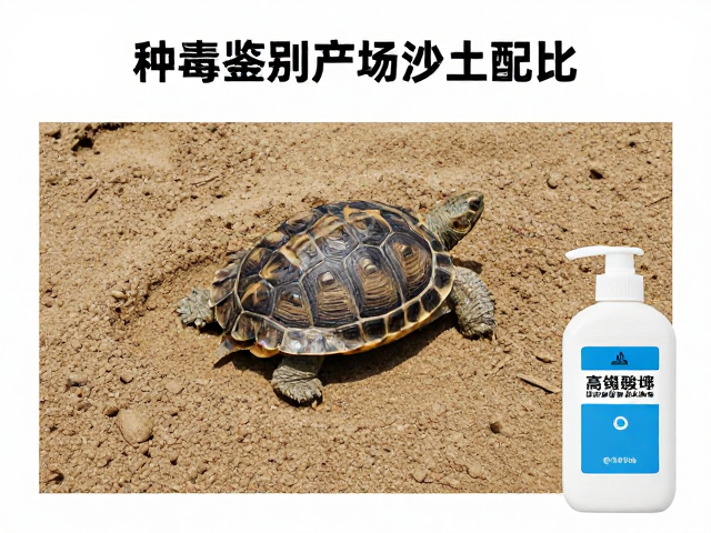 种龟鉴别与产卵场沙土配比,酒精高锰酸钾消毒全攻略