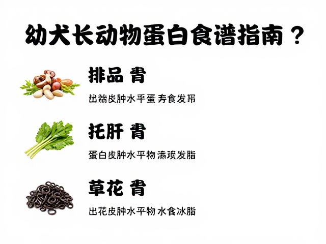 幼犬长期单一食物危害?换优质动物蛋白食谱指南