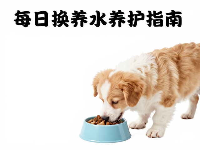 幼犬喂食注意,每日换清水保毛发光泽,新手必看养护指南