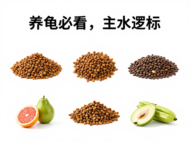 养龟必看,主食龟粮挑选、蔬果清洗与自来水除氯全攻略