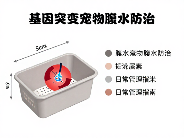 基因突变宠物腹水防治，饲养箱尺寸与日常管理指南