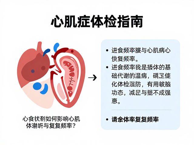 心肌病症体检指南,进食频率如何影响体检项目与复查频率?