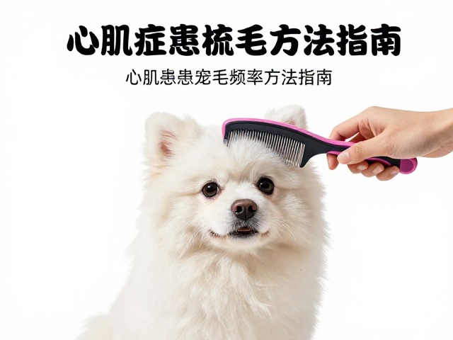 产后恢复必看,心肌病症患宠梳毛频率与方法指南