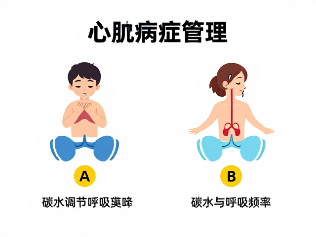 心肌病症管理,控制碳水与调节呼吸频率的科学指南