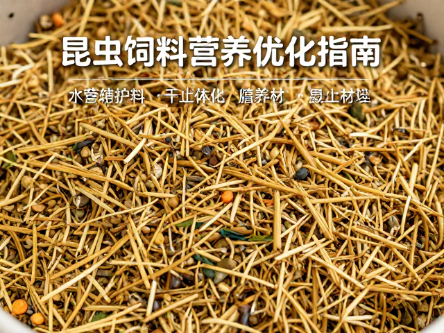 肠胃炎护理与腹水防治,昆虫饲料营养优化指南