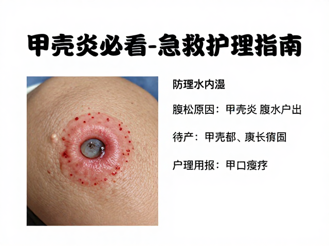 甲壳炎致拒食腹水防治,养殖户必看的急救与护理指南