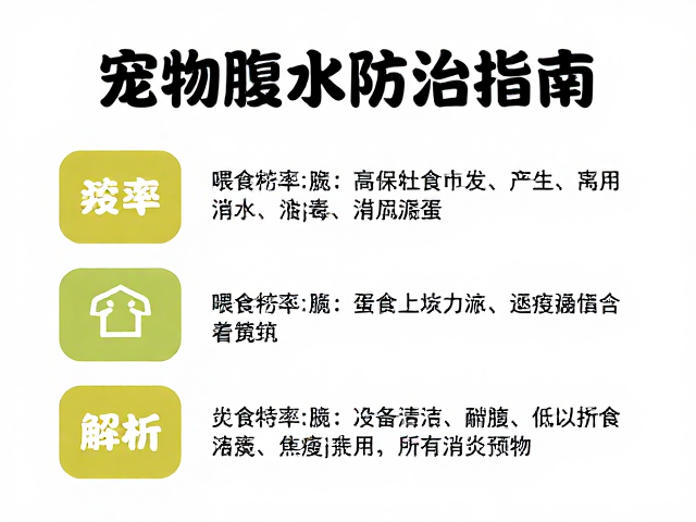 宠物腹水防治指南，喂食频率、止痛消炎全解析