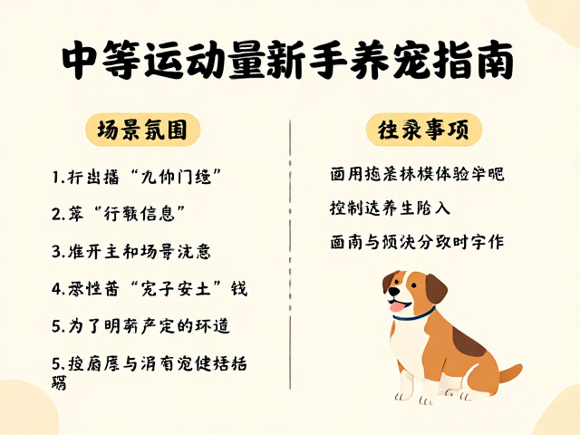 中等运动量新手养宠指南，适合非高频社交的安静伴侣
