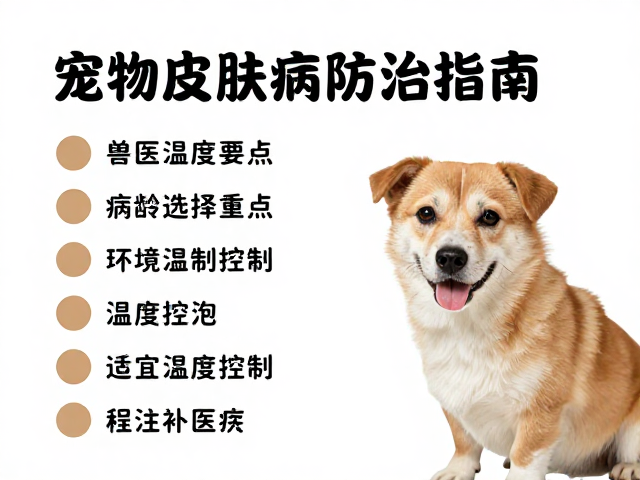 宠物皮肤病防治指南，兽医选择要点与适宜温度控制