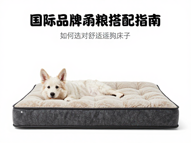 国际知名品牌狗粮搭配指南,如何选对舒适狗床垫子