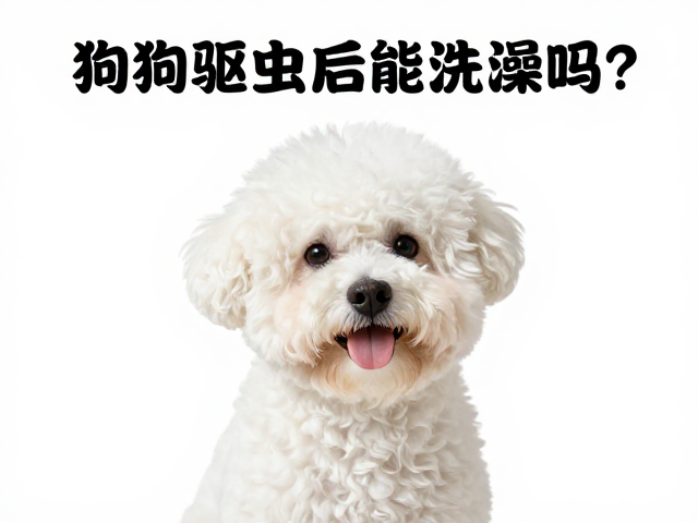 狗狗驱虫后能洗澡吗?驱虫后洗澡注意事项
