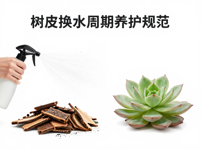 树皮碎片喷雾加湿换水周期规范，多肉/兰花养护指南