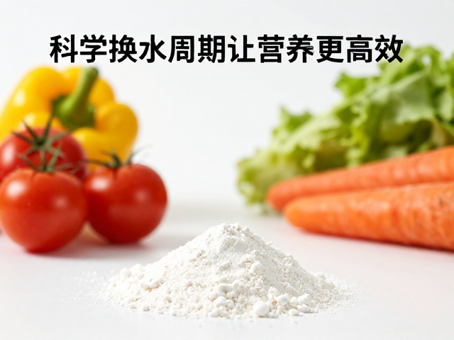 复合维生素粉搭配蔬菜补充,科学换水周期让营养更高效