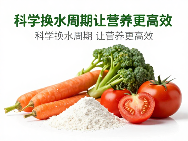 复合维生素粉搭配蔬菜补充,科学换水周期让营养更高效