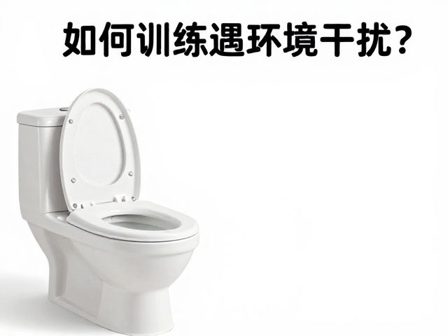 如厕训练遇环境干扰?用安静指令快速脱敏,打造乖巧如厕习惯