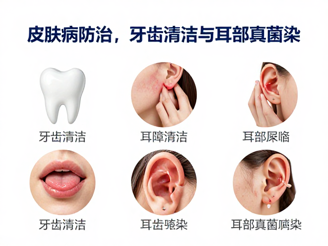 皮肤病防治、牙齿清洁与耳部真菌感染的科学护理指南