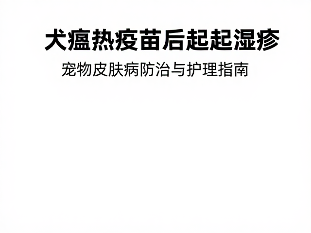 犬瘟热疫苗后起湿疹?宠物皮肤病防治与护理指南