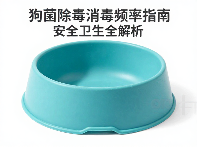 食品级硅胶狗粮碗除菌消毒频率指南,安全卫生全解析