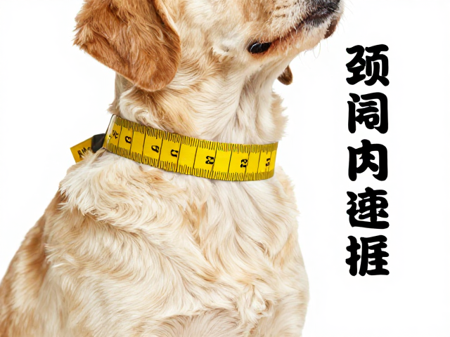 狗粮怎么选？参考真实用户评价，重点看颈围调节范围是否合适