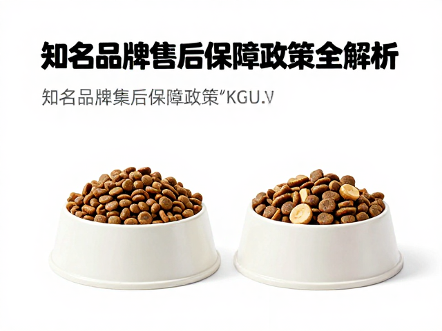 狗粮搭配慢食碗更护胃？知名品牌售后保障政策全解析