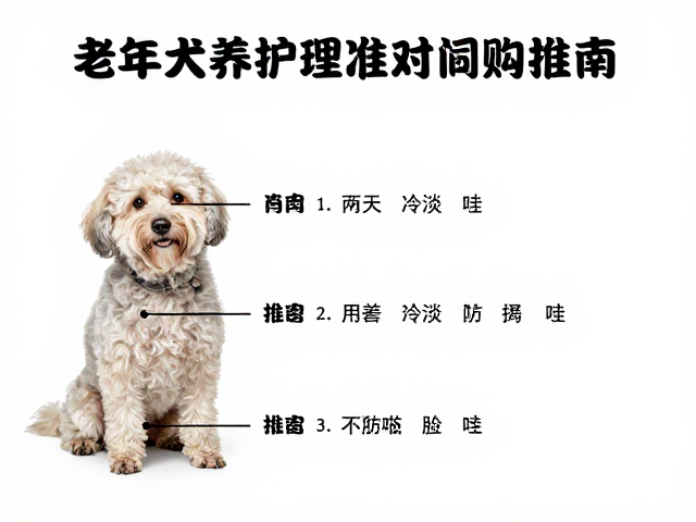 老年犬饲养指南,应对护理难题,接纳适度冷淡