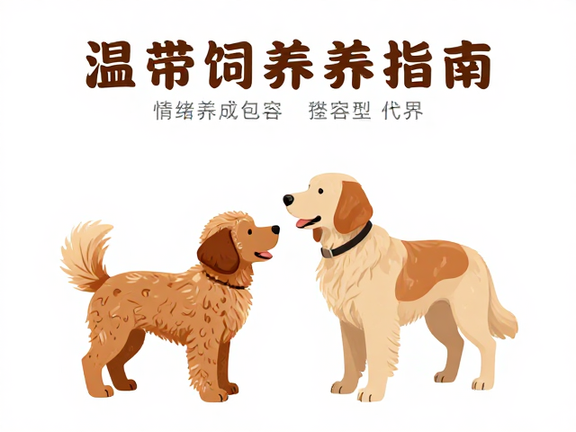 温带饲养指南,情绪稳定包容型宠物推荐