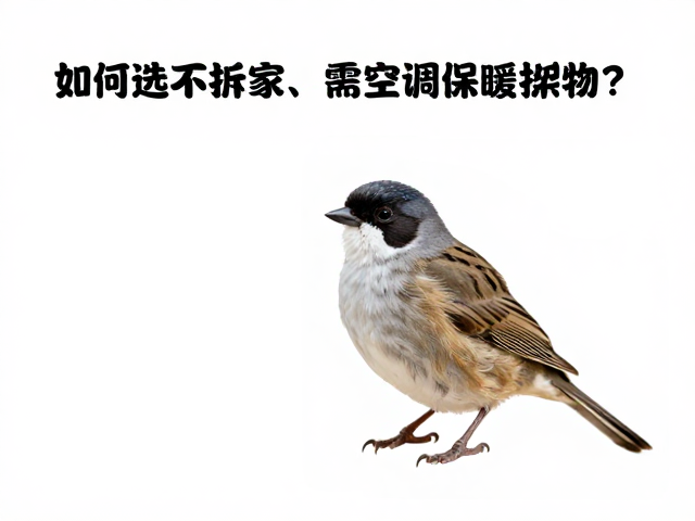 养宠必看,如何选不拆家、需空调保暖的宠物?