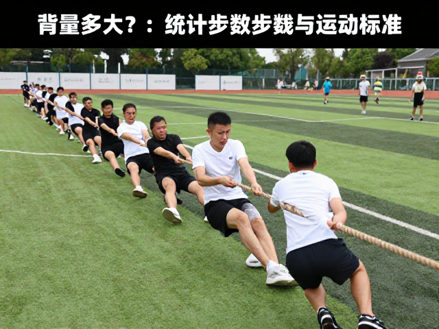 拔河游戏运动量多大？如何科学统计步数与运动标准
