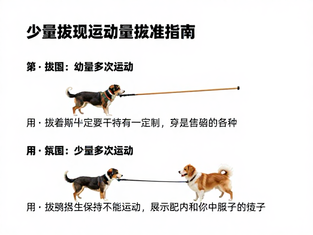 幼犬少量多次运动,拔河游戏的安全运动量标准指南
