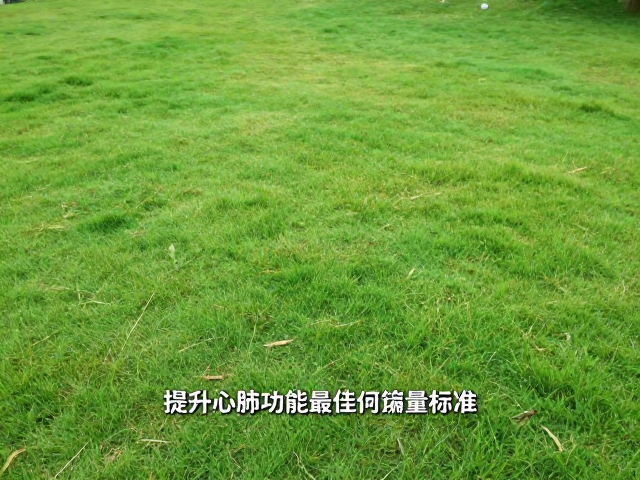 公园草坪运动指南,提升心肺功能的最佳运动量标准