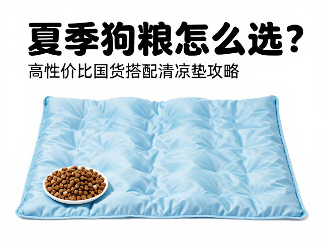 夏季狗粮怎么选?高性价比国货搭配清凉垫攻略