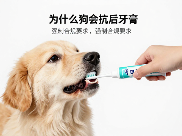 狗狗刷牙难?选对宠物牙膏牙刷参考真实用户评价,告别口臭