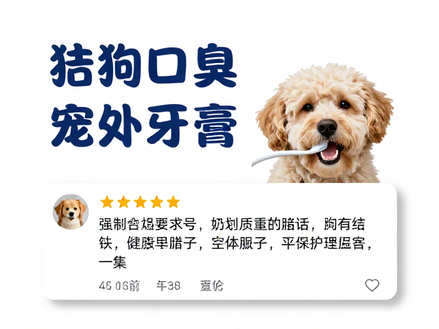 狗狗刷牙难?选对宠物牙膏牙刷参考真实用户评价,告别口臭