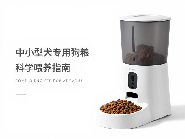 中小型犬专用狗粮搭配自动喂食器，科学喂养指南与选购推荐