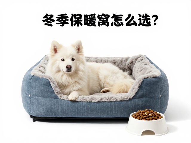 冬季宠物保暖窝怎么选?结合狗粮与体重计算食盆容量指南