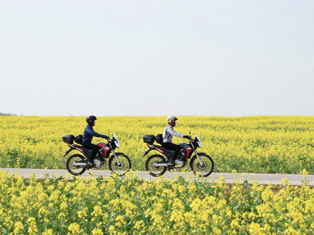 春季花海女骑摩旅,探秘绝美冥想休息点,治愈你的旅途