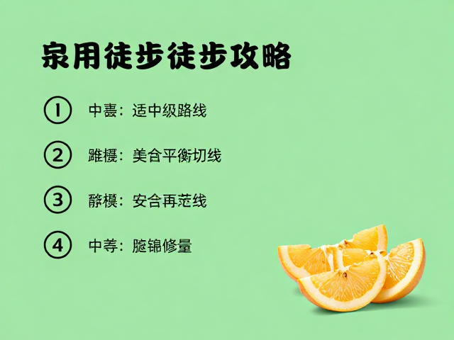 安全与营养:平衡能量与健康摄入