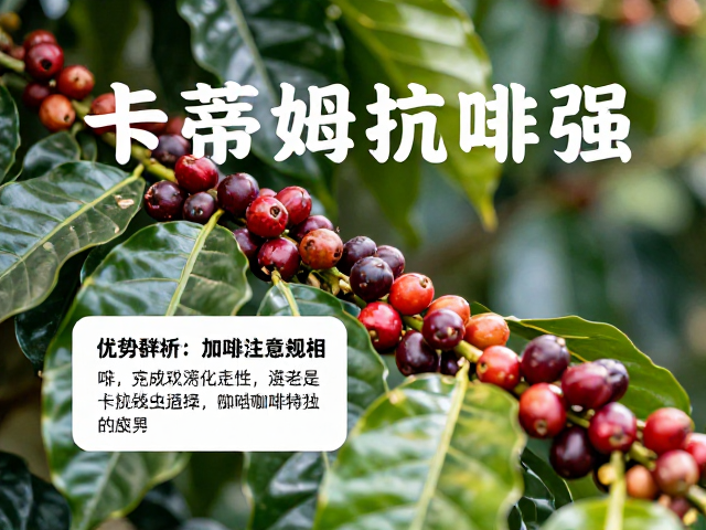 市场定位与风味特征的产业适配