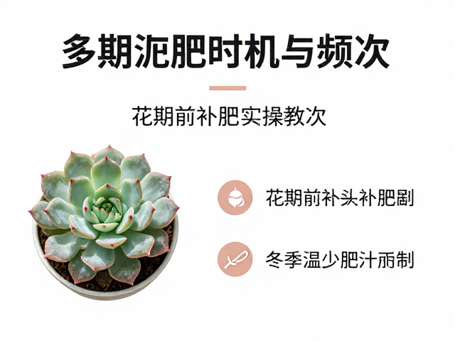 花期前补肥的关键策略