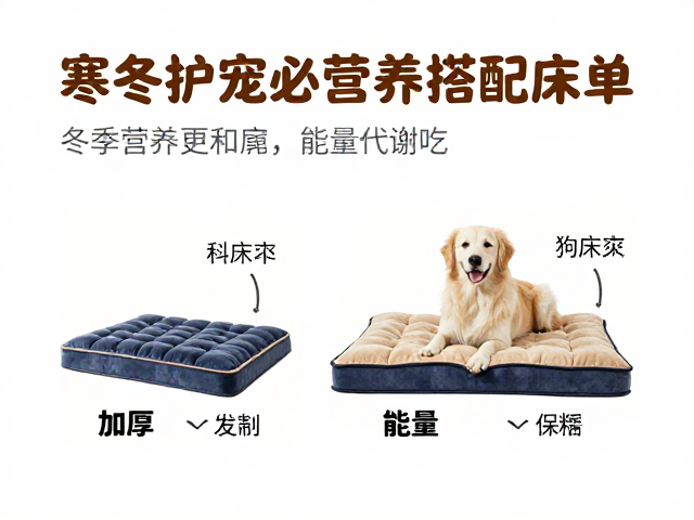 寒冬护宠必备,加厚狗床垫推荐与冬季狗粮营养搭配清单