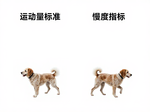 老年犬运动量标准,适度慢跑舒缓指南