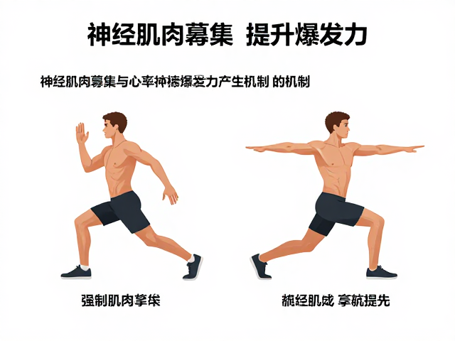 运动量标准与心率监测，如何科学提升爆发力？