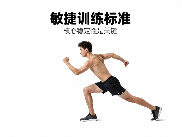 敏捷训练怎么练?核心稳定性是关键,揭秘运动量标准